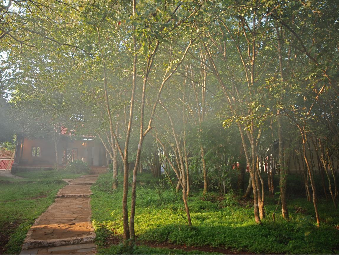 The Windflower Jungle Resort & Spa, Bandipur Luaran gambar